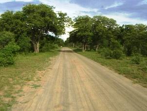 Chobe National Park Botswana